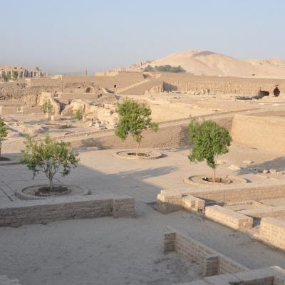 Tutmosis iii proyecto espanol de recuperacion de su templo funerario