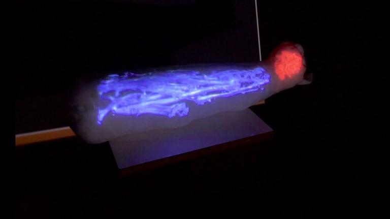 Visualisation en réalité augmentée de l’intérieur de la momie.
