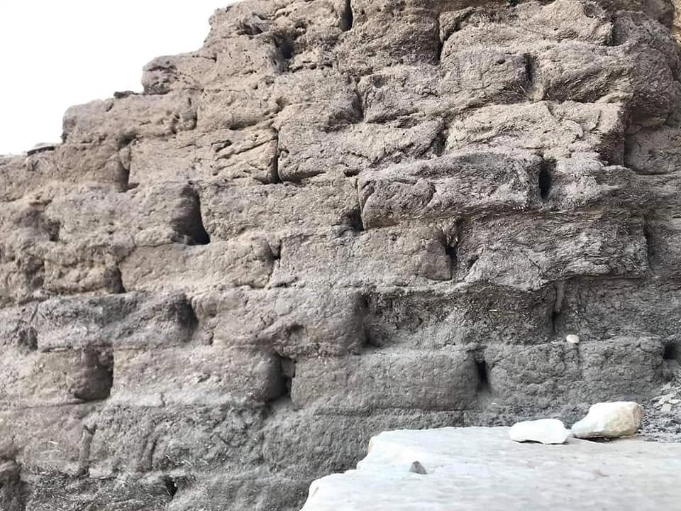 117319741 10223579379489960 2848230013659095365 n