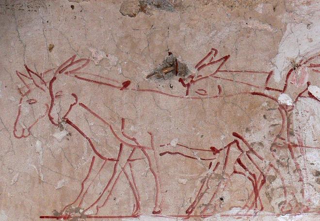 TT.101 (Sheikh Abd el-Gournah). Tombe de Tchanouro (majordome royal).Epoque : Amenhotep II. Détail. Les ânes.