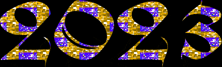 2023 bleu or 200