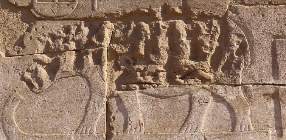 dégradations subies par l'hippopotame blanc dans ce magasin. Karnak – Cour du Moyen Empire