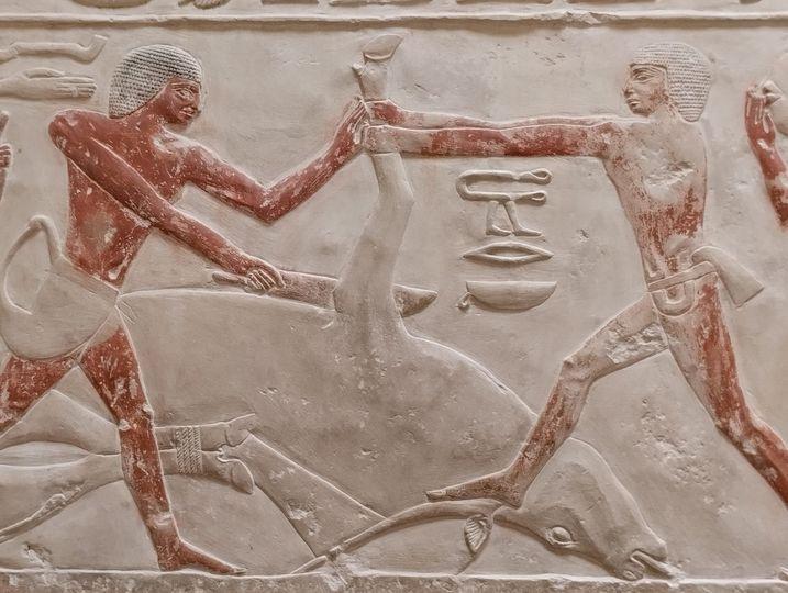 Nécropole de Saqqara