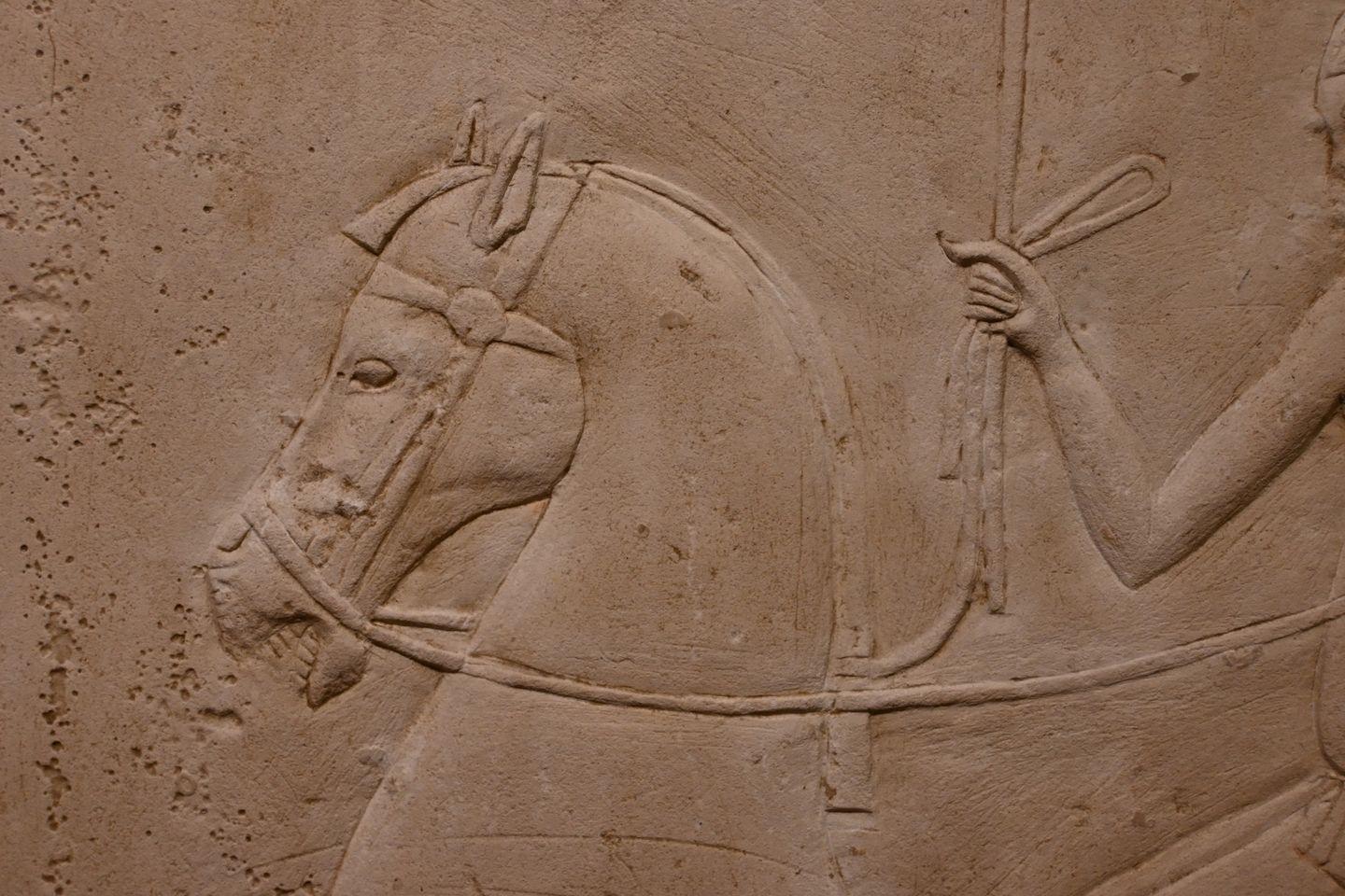 Reliefs de la tombe d'Horemheb de Memphis, au musée archéologique de Bologne.