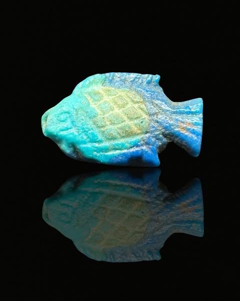 500757739 17853887913448057 575578882934646737 n