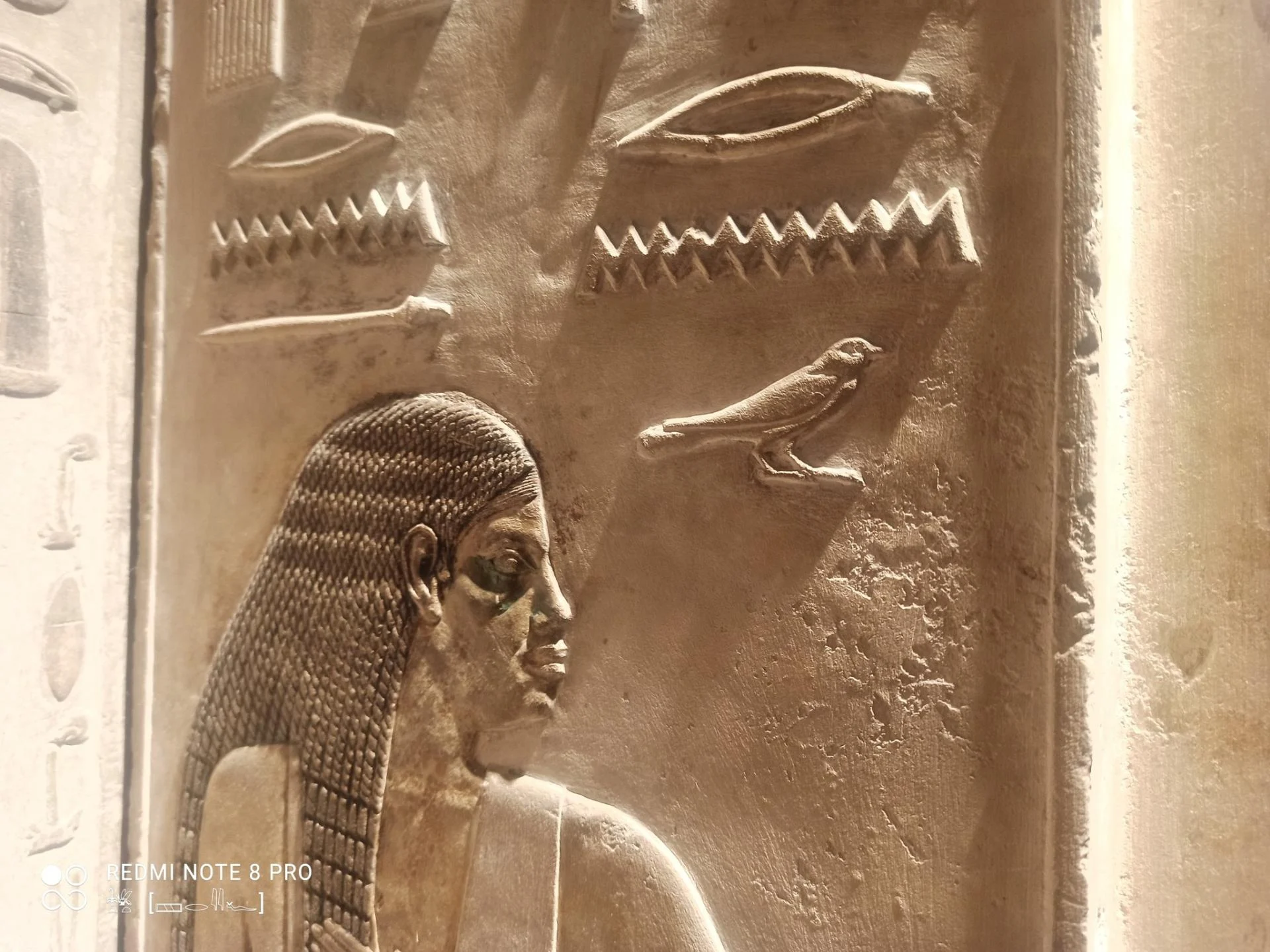 571803993 1836454803667390 6558444905628331595 n