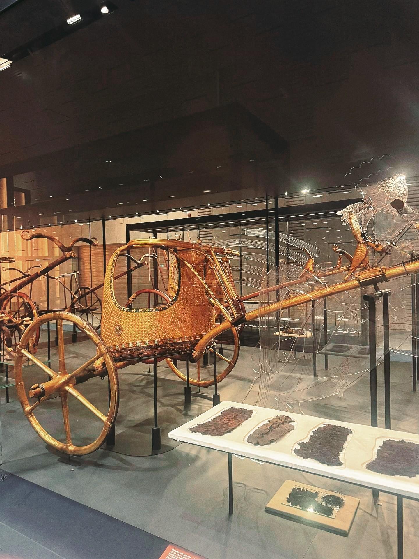 576306288 1131781735771645 326312692558396242 n 1