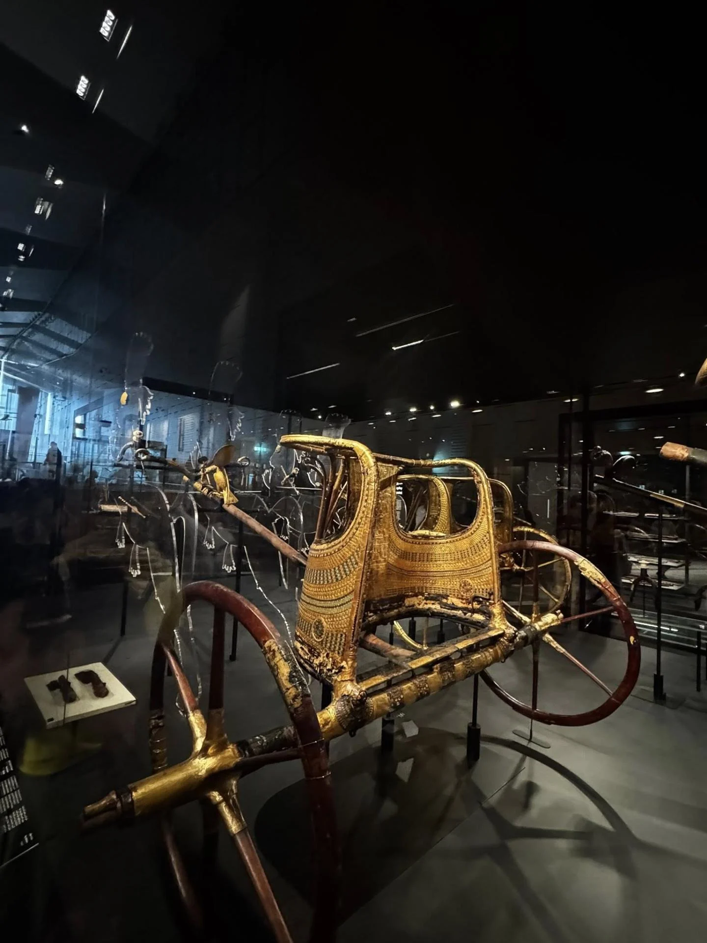 577011101 10162461060038821 1532607195067386648 n