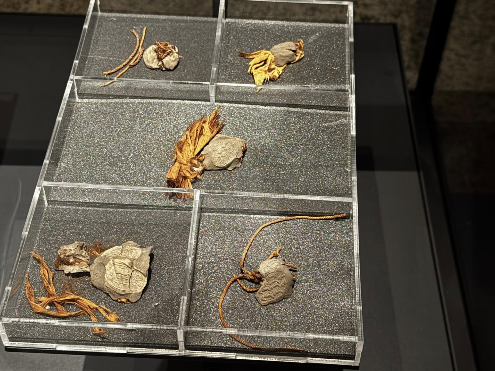 577306069 10162449180293821 5805843864570503802 n