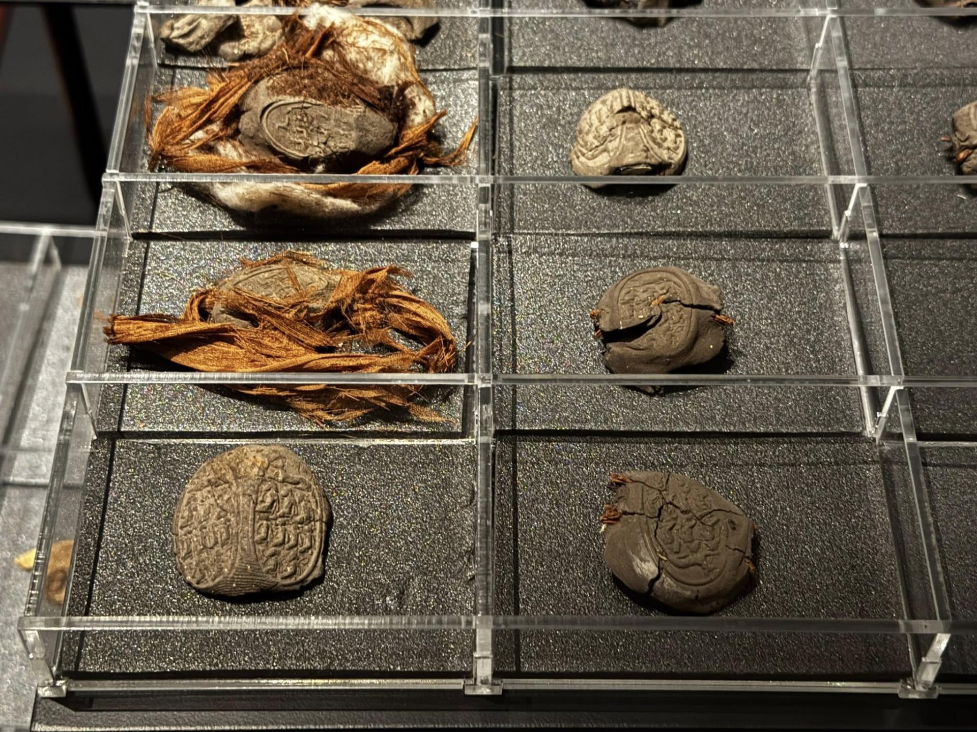 577444277 10162449180033821 5408187452675260770 n