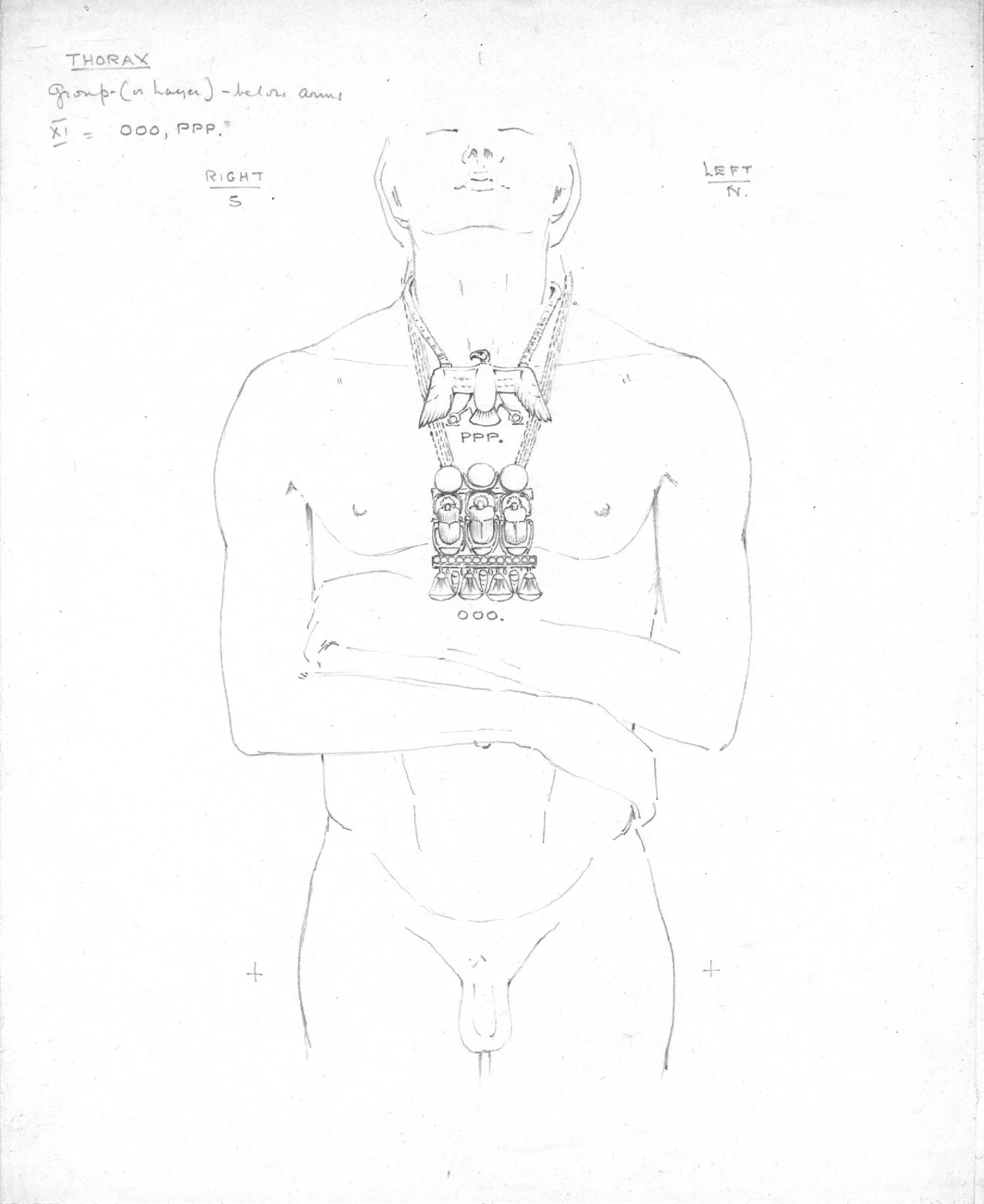 582520181 1167813882114291 3187795735392223794 n