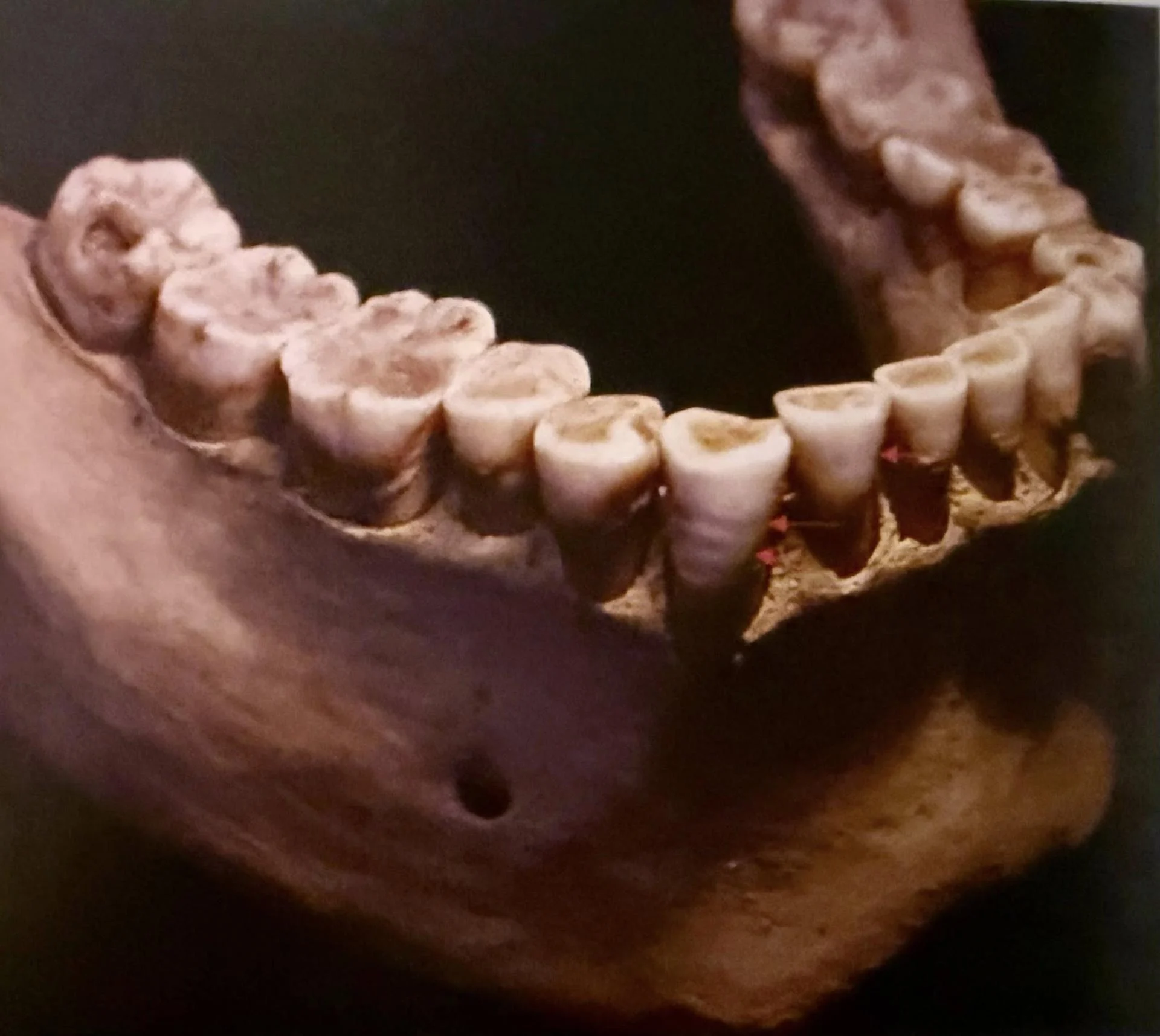 588393575 24854763920889562 5607614071593284066 n