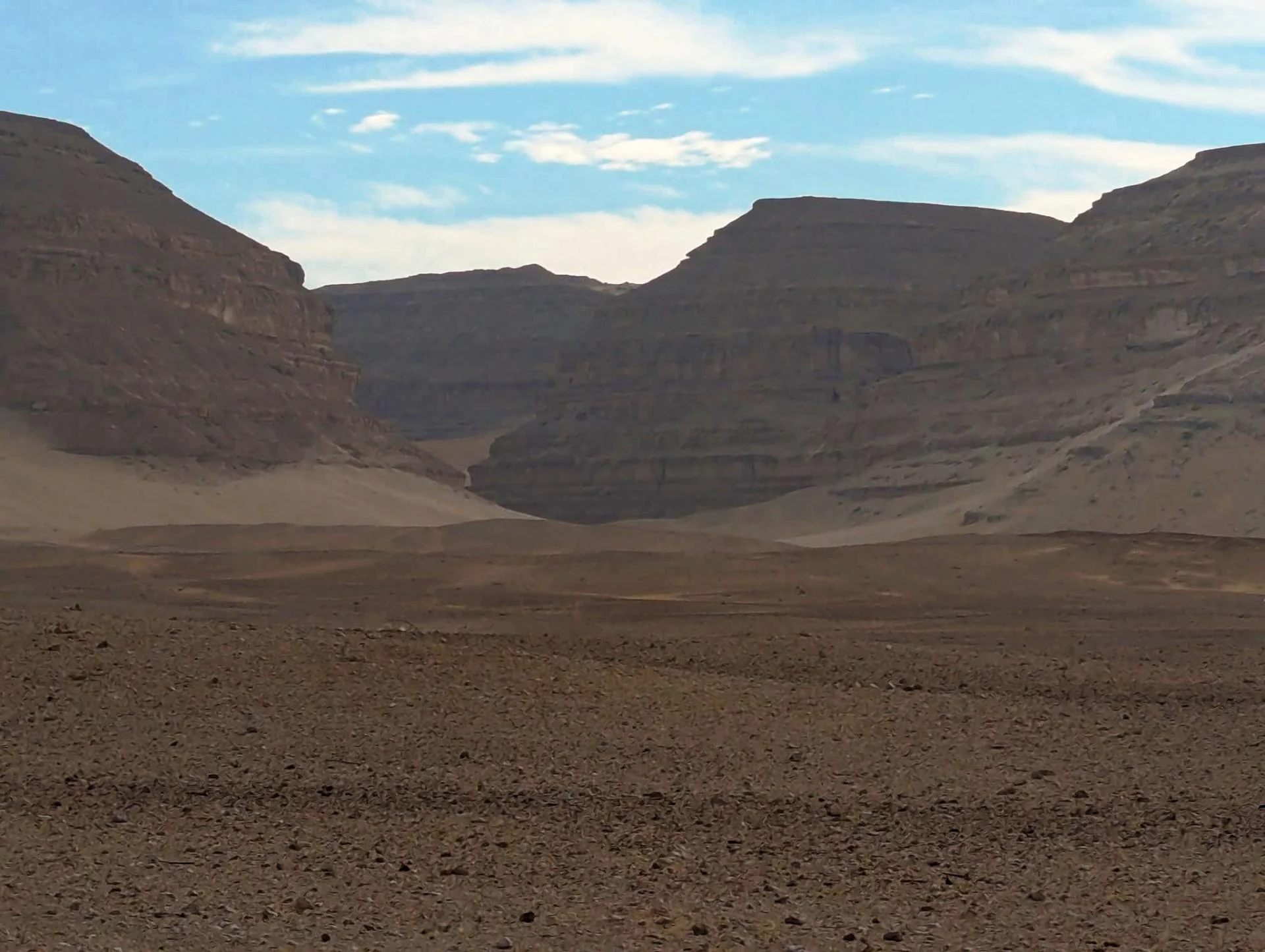 591940774 1864913047488232 8629442093143074437 n