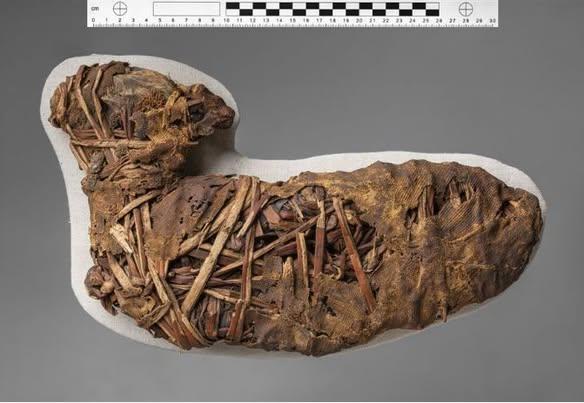 616854458 10224356993672110 849747639930900383 n