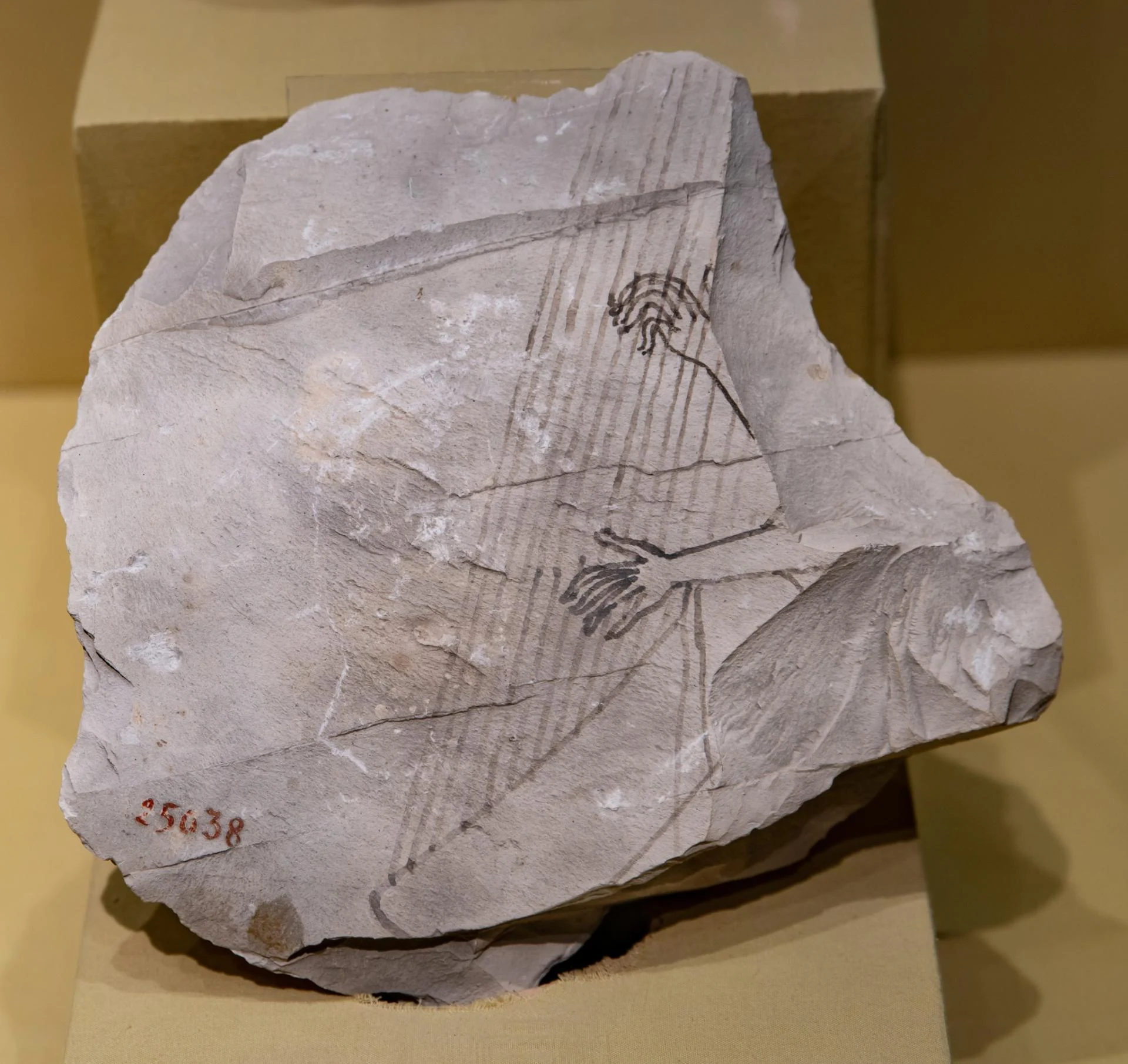 629675897 1435415548375306 7587815368372410782 n