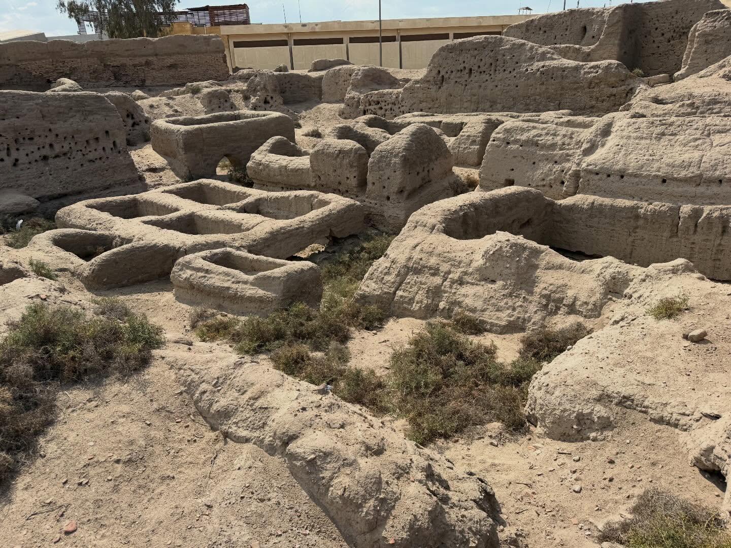 645762670 18165004210408686 6414727011956852649 n