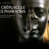 Affiche de l exposition le crepuscule des pharaons au musee jacquemart andre