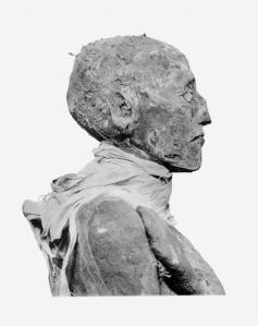 Alibre bemomie de ramses iii