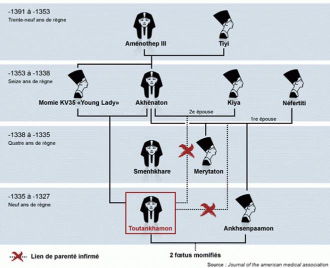 Arbre genealogique resultant des dernieres etudes con