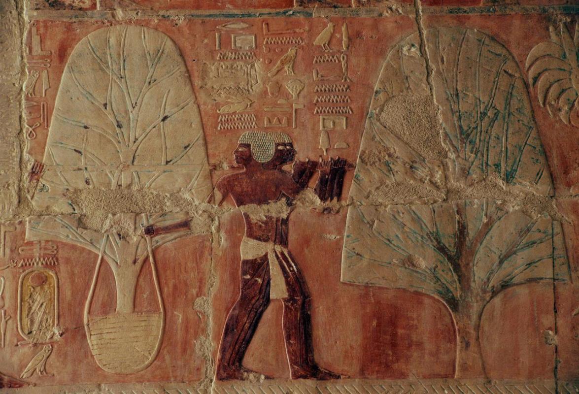 Bas relief representant le pays de pount dans letemple mortuaire de la pharaonne hatshepsout athebes en egypte aujourd hui deir el bahari de agostini picture library c sappa bridge