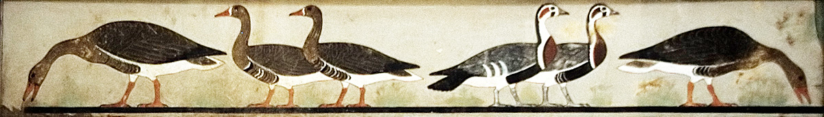 Cairomuseumgeese 98 1