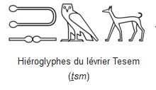 hiéroglyphe Teseem