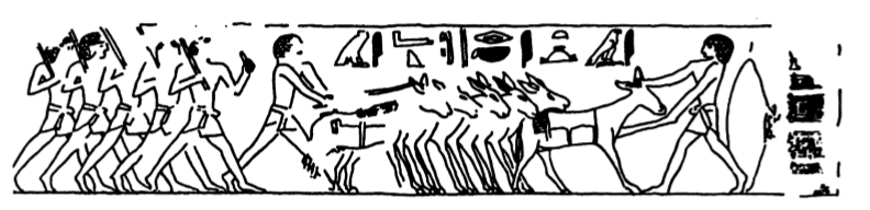 Chargement des anes mastaba de leyde