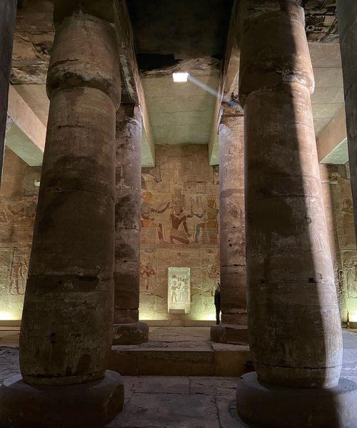 Chris naunton egyptologist 1