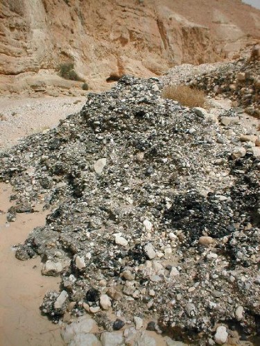 Coulee de bitume au sein de la mer morte israel