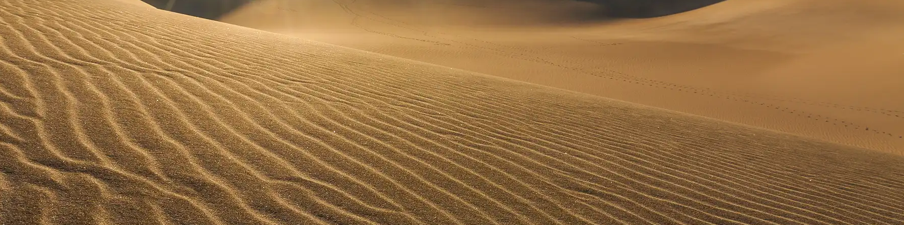Dune egypte 2022