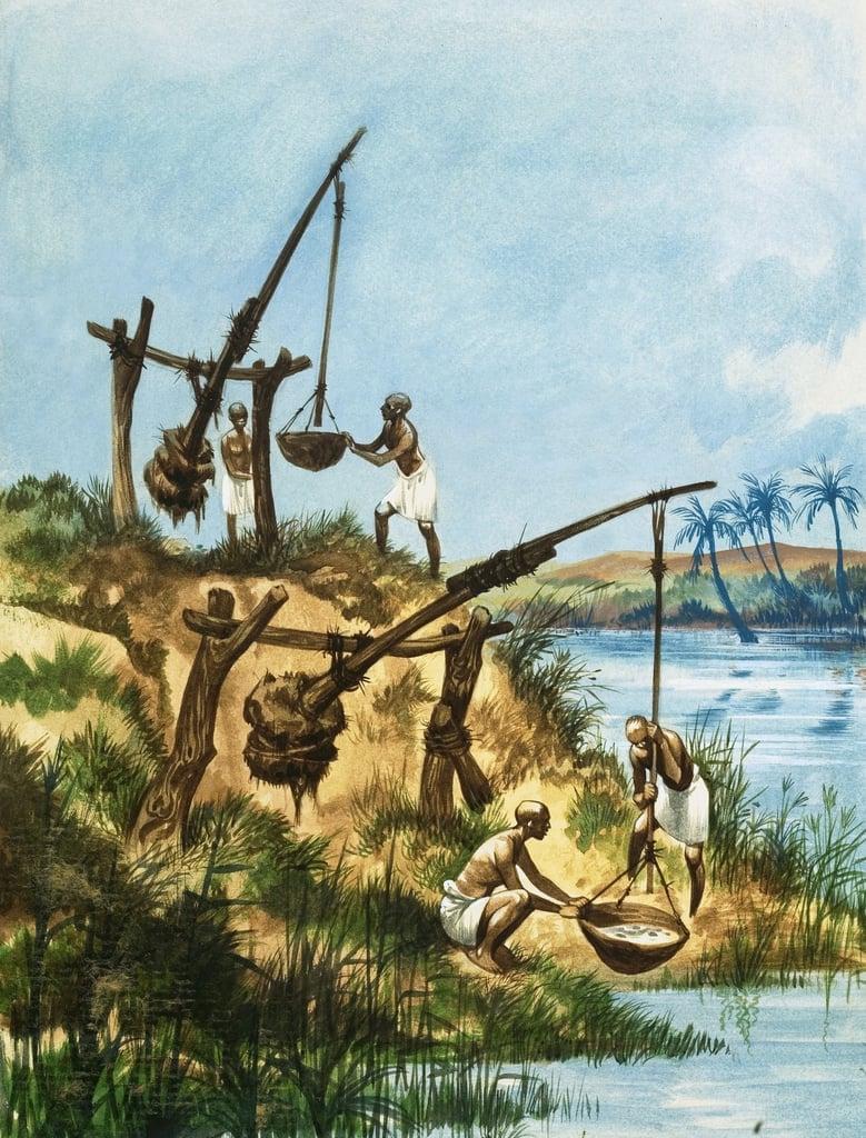 Early egyptians using a system of weights and poles called shadoofs to get peter jackson british 1922 2003 water from the nile