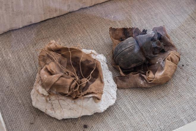 Hasta el momento no se habian hallado escarabajos momificados similares en egipto f c