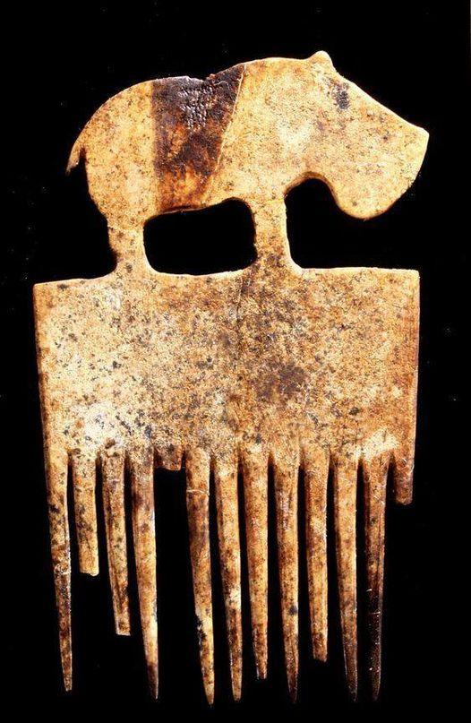 Hippo comb predynastique decouvert au cimetiere de hierakonpolis tombe 72 qui date de la periode naqada iia b environ 3700 3600 bce