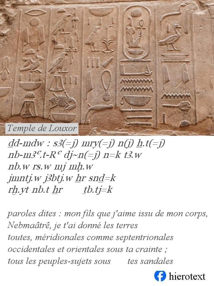 Image1