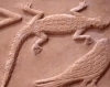 Karnak chapelle blanche genre uromastyx