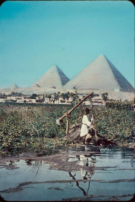 Les trois pyramides avec shaduf en premier plan 1934