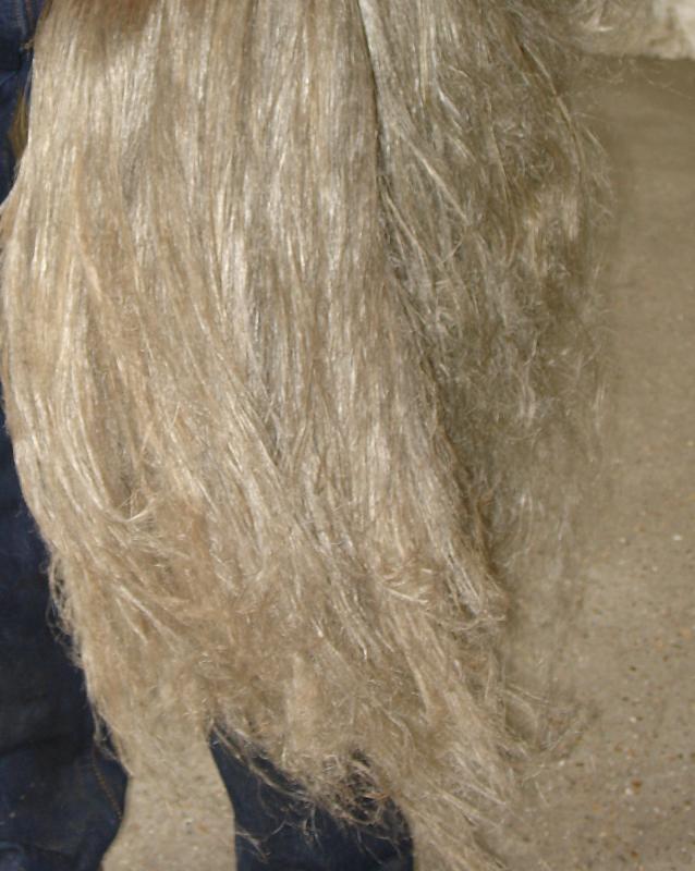 Lin teille fibres longues extrait des pailles
