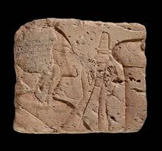 Main image 6