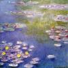 Monet nympheas a giverny