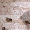 Peinture inachevee representant un troupeau d ane lams mafto cnrs