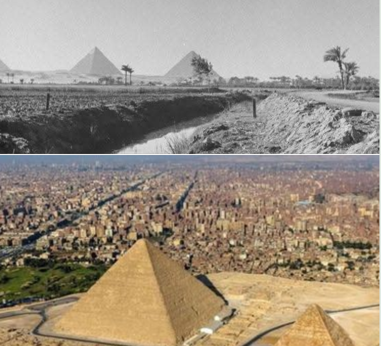 Prayer near the pyramids life magazine circa 1940 s