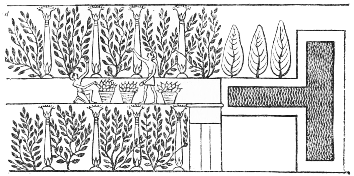 Psm v51 d242 egyptian vineyard with water reservoir