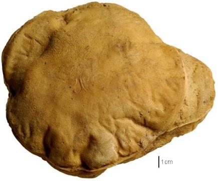 Shamsi bread