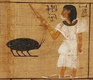 The cockroach in ancient egypt v0 z7uajn8n81ab1