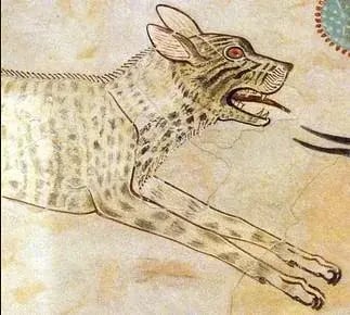The hyena in ancient egypt v0 f2xxejppa0281