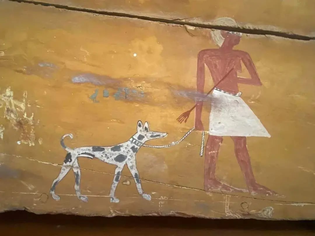 This painted wooden detail from the outer coffin of the v0 16624baj53kh1