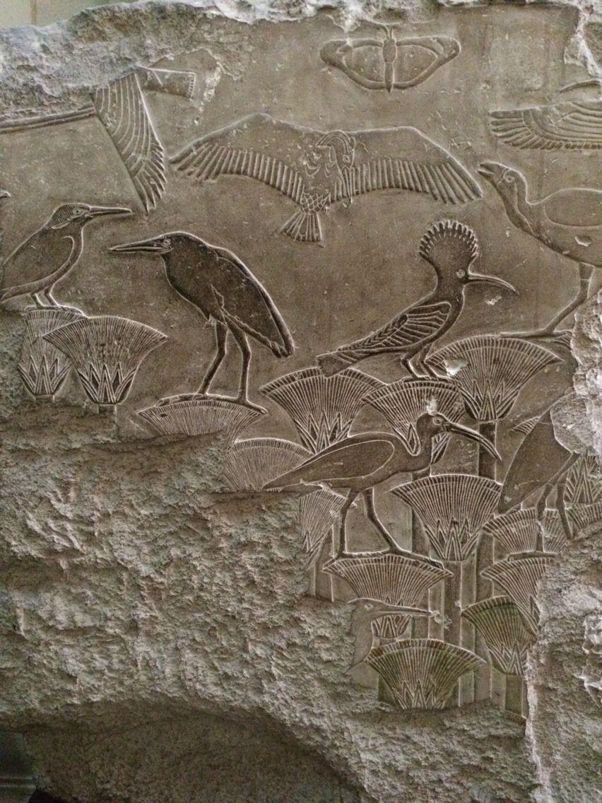 This panel carved in bas relief comes from the mortuary temple of userkaf 2494 2487 first ruler of the 5th dynasty which is at saqqara