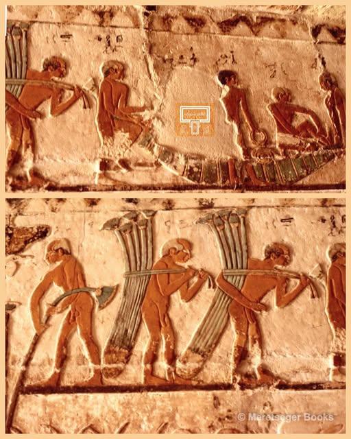 Voici comment se presentait l allee processionnelle nord du ramesseum a l epoque de ramses ii document mafto cnrs asr insight 1